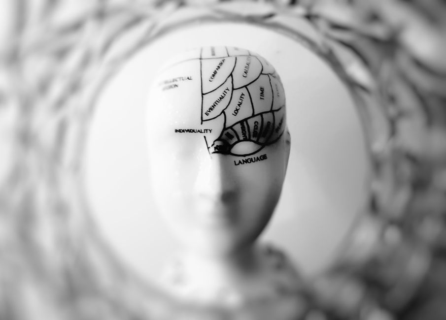 Cerveau humain et neurosciences pour la résolution d'énigmes